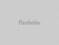 placeholder 70